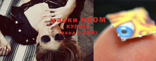 индика Аркадак