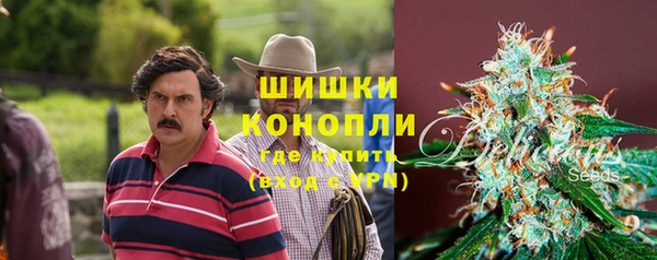 индика Аркадак