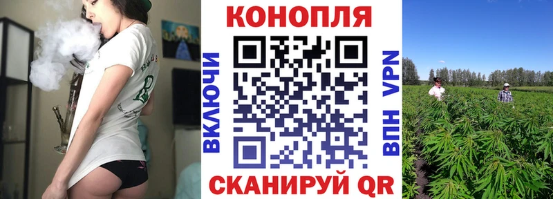 хочу наркоту  Белинский  Каннабис индика 